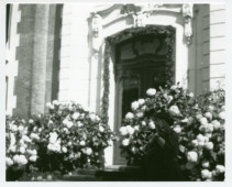 Photographie de la porte d'entrée principale (nord) de la villa de Riond-Bosson flanquée d'hortensias en fleurs
