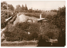 Photographie des serres de la propriété de Riond-Bosson – tirage brun