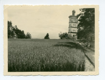 Photographie de la Tour blanche sur la propriété de «La Bergerie» de Paderewski à Gland