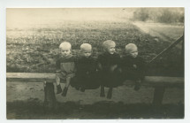 Photographie de quatre jeunes enfants, crâne rasés, souffrant manifestement de malnutrition, pris en charge par la Croix Blanche polonaise – tirage carte postale