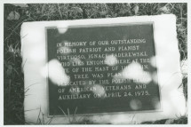 Photographie de la plaque commémorative posée en 1975 à l'occasion de la plantation d'un arbre à proximité du cercueil d'Ignace Paderewski attendant son rapatriement en Pologne dans l'USS Maine Mast Memorial du cimetière national d'Arlington