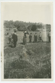 Photographie du vignoble Winteroll au «Rancho San Ignacio» à Paso Robles, en Californie, en juillet 1927