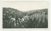 Photographie de la vue à l'arrivée au «Rancho San Ignacio» à Paso Robles, en Californie, en 1921