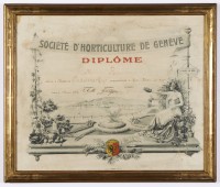 Diplôme de membre d'honneur décerné le 15 février 1908 à Hélène Paderewska par la Société d'horticulture de Genève